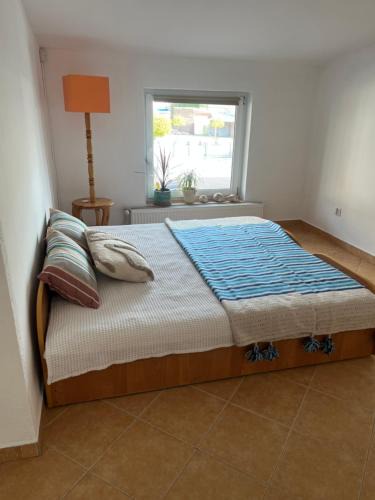 Augustow Apartment | Studio dwupokojowe z łazienką i kuchnią