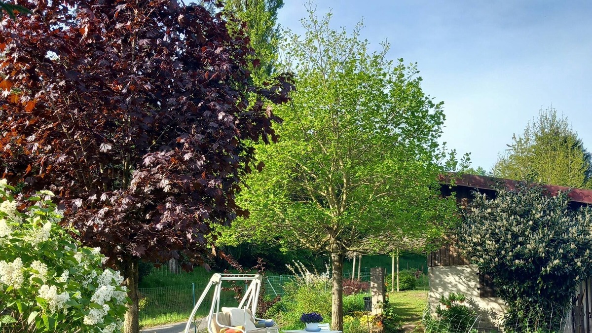 Rosteig Apartment | Studio en Pleine Nature Sans vis à vis