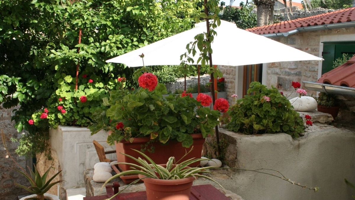 Vrboska Apartment | Studio flat with terrace Vrboska, Hvar (AS-4601-a)