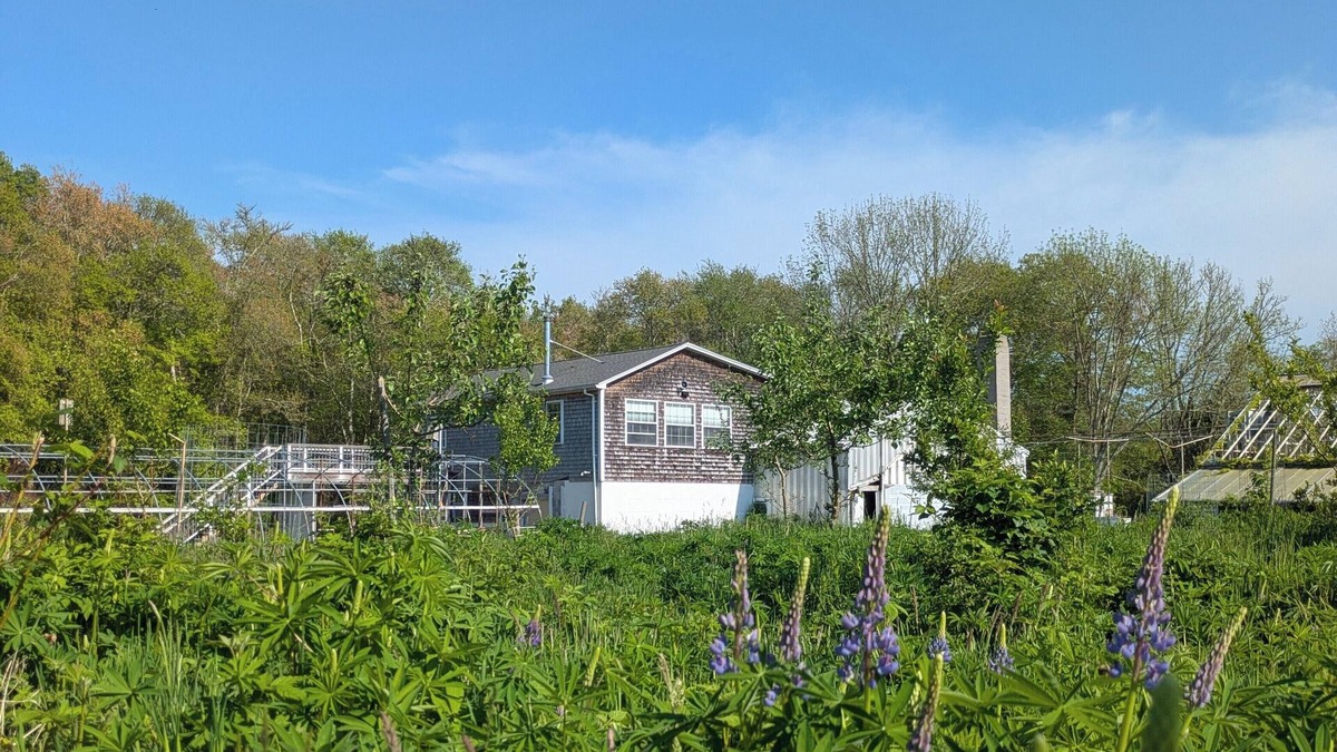 Westport Apartment | Studio guesthouse on our farm in beautiful South Westport.