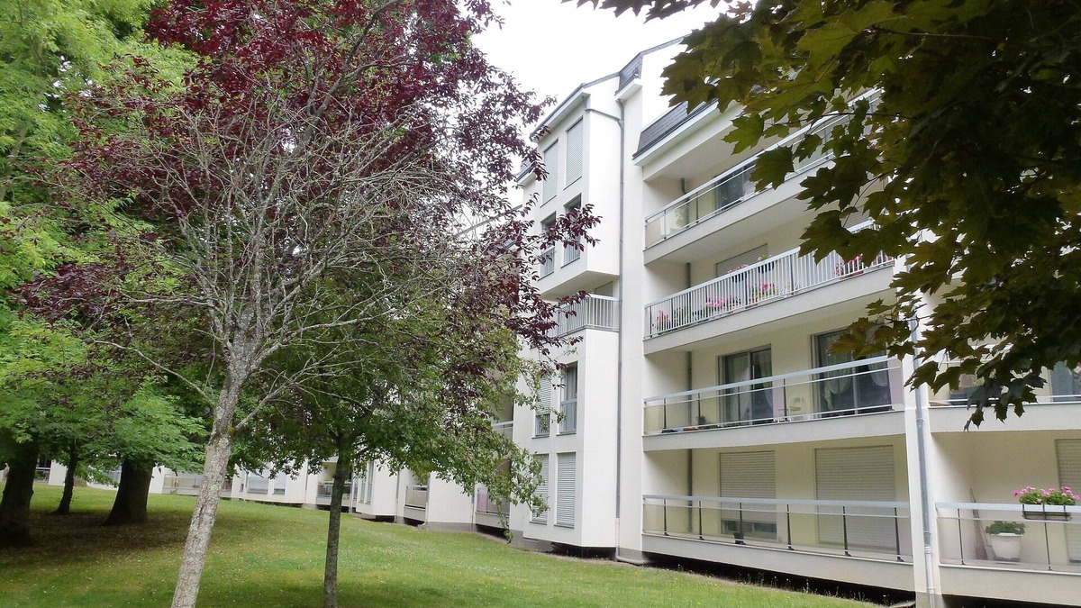 Blois Apartment | STUDIO IDEALLY LOCATED, NEAR CHAMBORD, CHATEAUX DE LA LOIRE, BEAUVAL ZOO