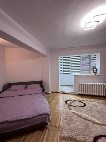 Nehoiu Apartment | Studio in the city center