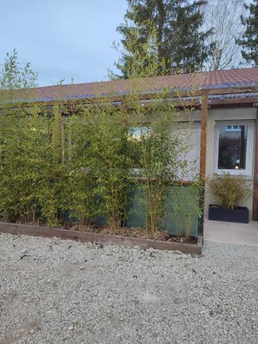 Oyonnax House | Studio L