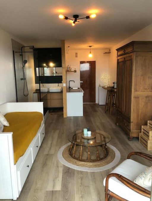 Montrichard Val de Cher Apartment | Studio / Loft vue sur la Vallée du Cher