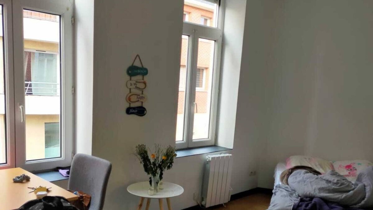 Lille-Moulins Apartment | Studio Lumineux et Confortable Lille Moulins