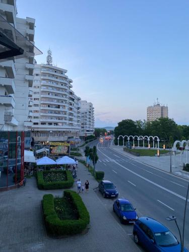 Alba Iulia Apartment | Studio PANORAMIC with Balcony and Parcul Unirii view