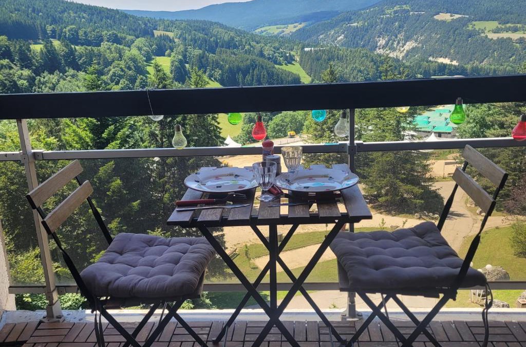 Villard-de-Lans Apartment | STUDIO plein sud "Les Arolles" Balcon de VILLARD DE LANS