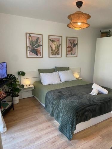 Haguenau Apartment | Studio Premium Haguenau