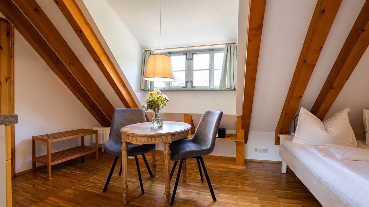 Oberloßnitz Apartment | Studio-Private Bathroom-Vineyard view-Nr. 2
