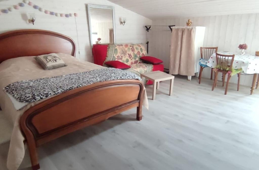 Mauges-sur-Loire Apartment | Studio Propre et Cosy