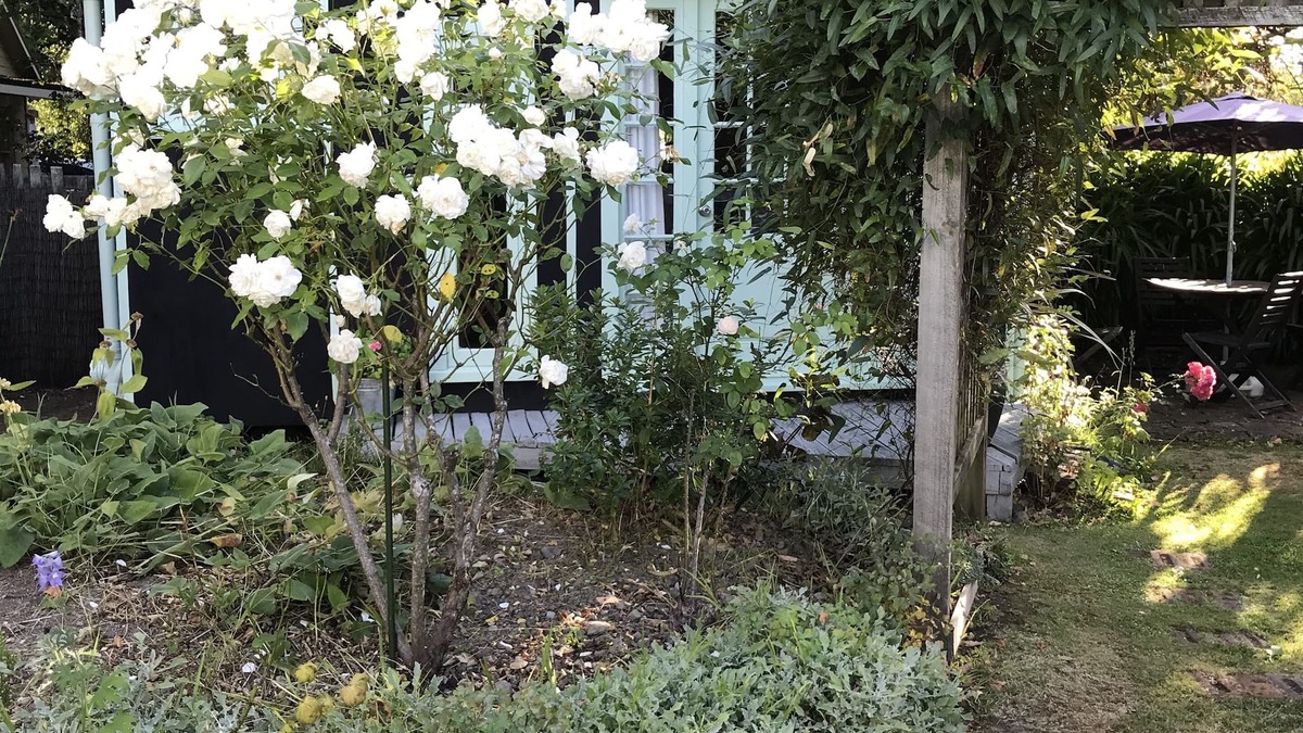 Greytown Cottage | Studio set in beautiful english cottage gardens