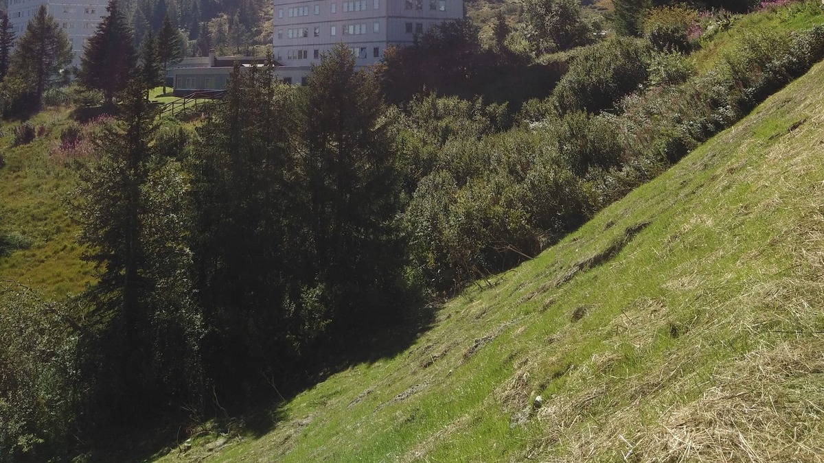Passo del Tonale Apartment | Studio SettimoCielo 4 beds