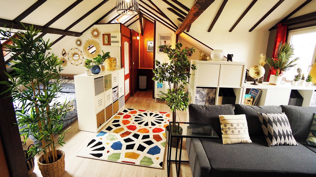 Anatole France Danton Apartment | Studio "Sous les Toits