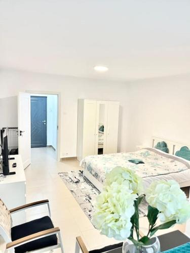 Drumul Taberei Apartment | Studio spațios Plaza Mall, Park Drumul Taberei