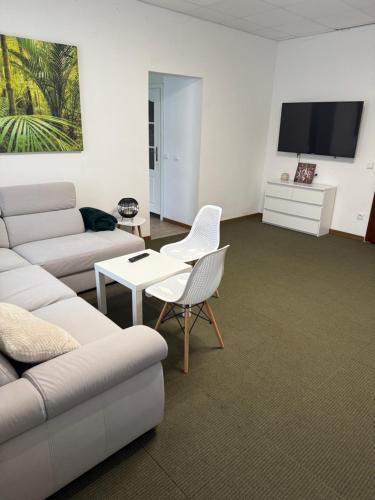 Zielona Gora Apartment | Studio Standard