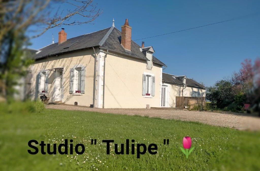 Pays d'Issoudun Apartment | studio 'tulipe' dans le Berry