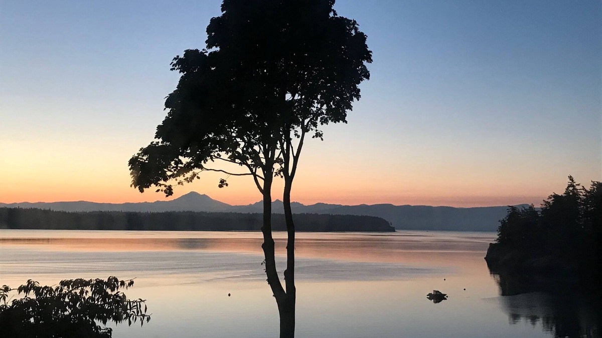 Lummi Island Apartment | Studio Unit with Views of Hales Passage and Mt Baker
