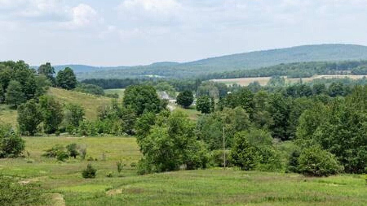 Arnot Cabin | Studio w/A/C + Gorgeous Views | Private Entry
