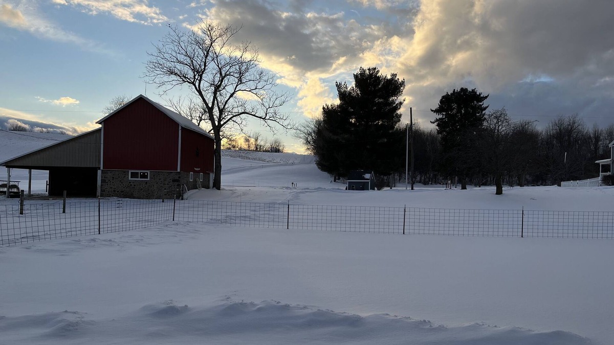Sodus Apartment | Studio w/kitchen on Alpaca farm Sodus Bay, Wine trails & Brantling ski slope