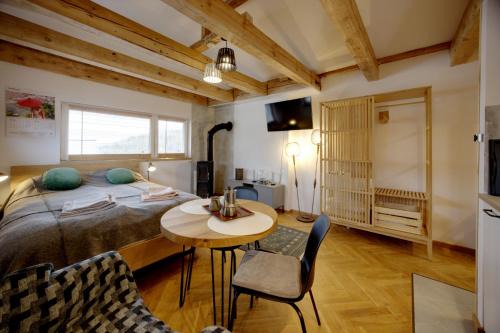 Dziaki Lesne Apartment | Studio w zabytkowej kamienicy