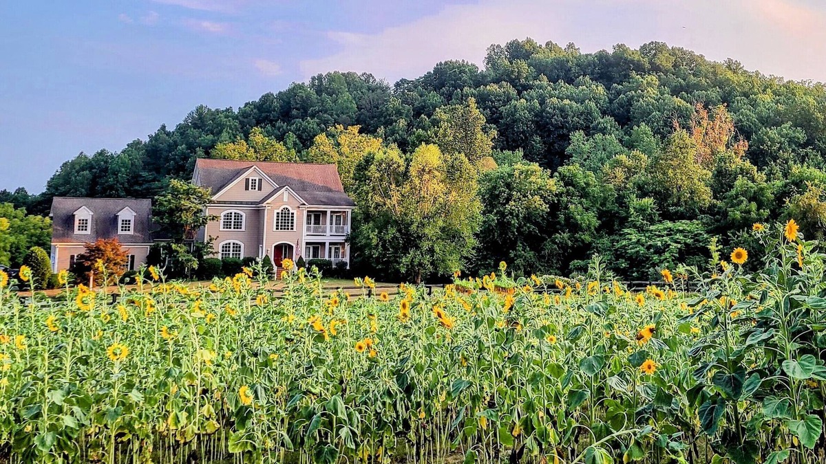 Afton Apartment | Studio with mountain views and private entrance near wineries and hiking