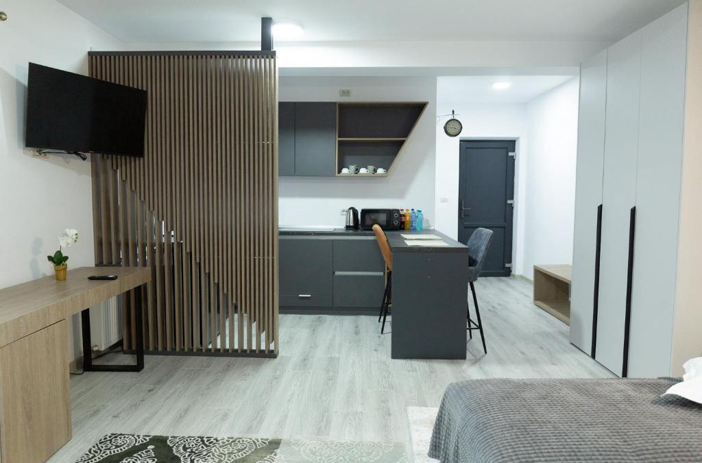 Frasin Apartment | Studio with Parking in Frasin