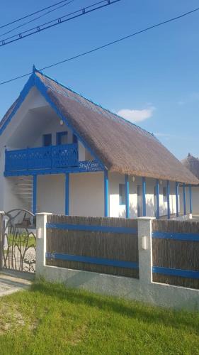 Crisan House | Stuffino Crisan