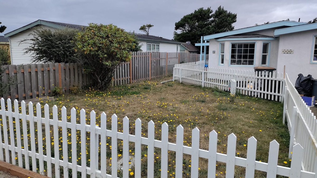 Agate Beach Apartment | Stunning 1 Bedroom - walk to the beach, lighthouse, coffee place and dog park.