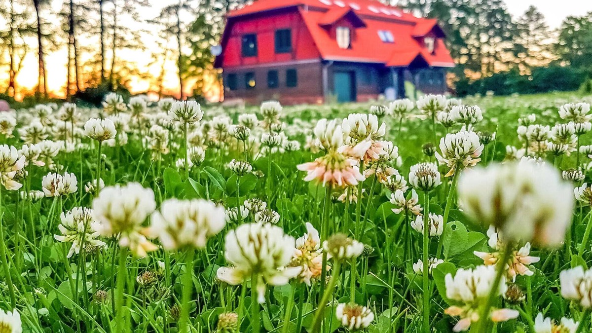 Gizycko Apartment | Stunning apartment in Gizycko with WiFi