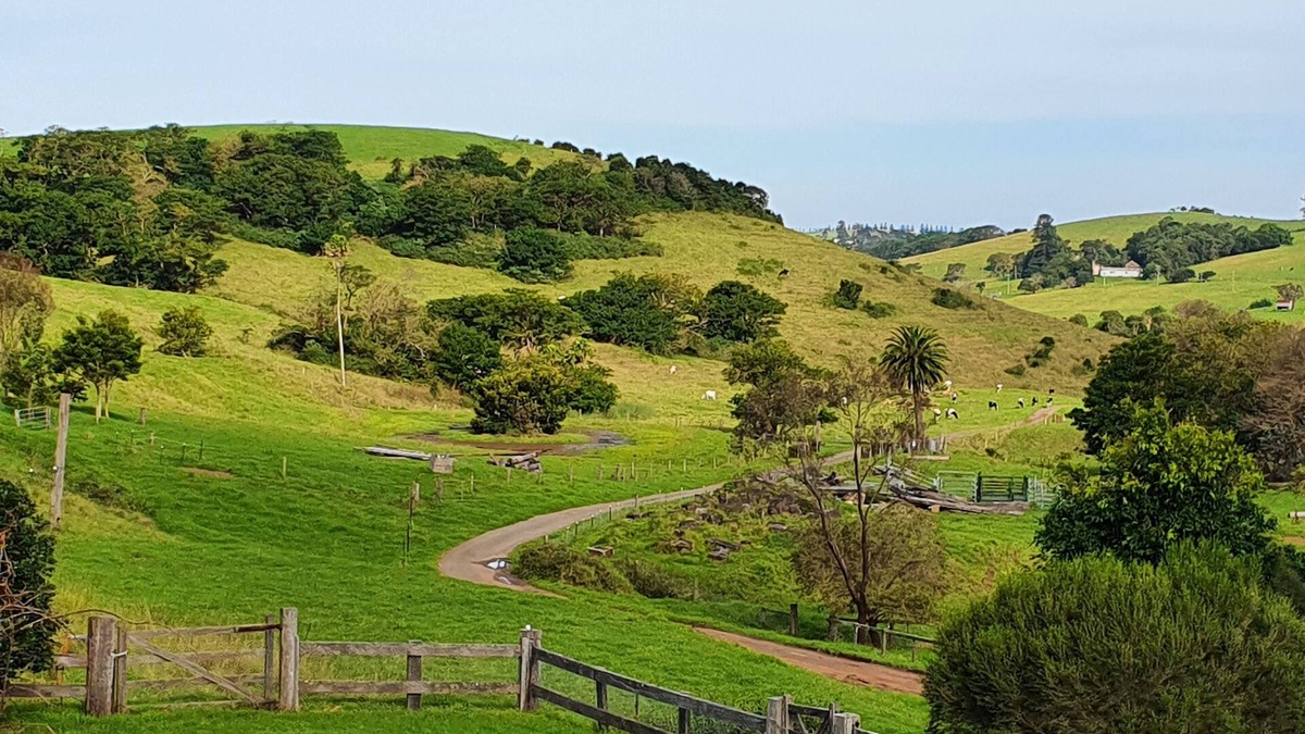 Rose Valley House | Stunning cottage on beautiful farm close to beaches and cafes