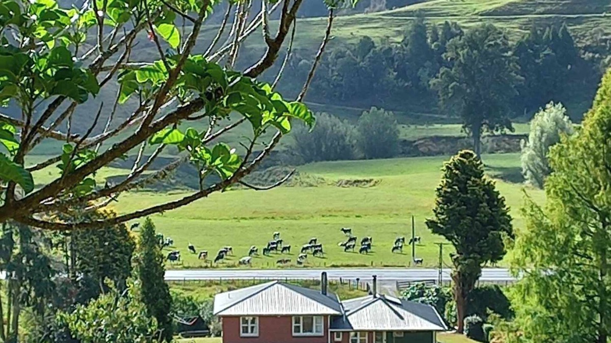 Uruti Other | Stunning country views set on seventy acres of tranquil country paradise