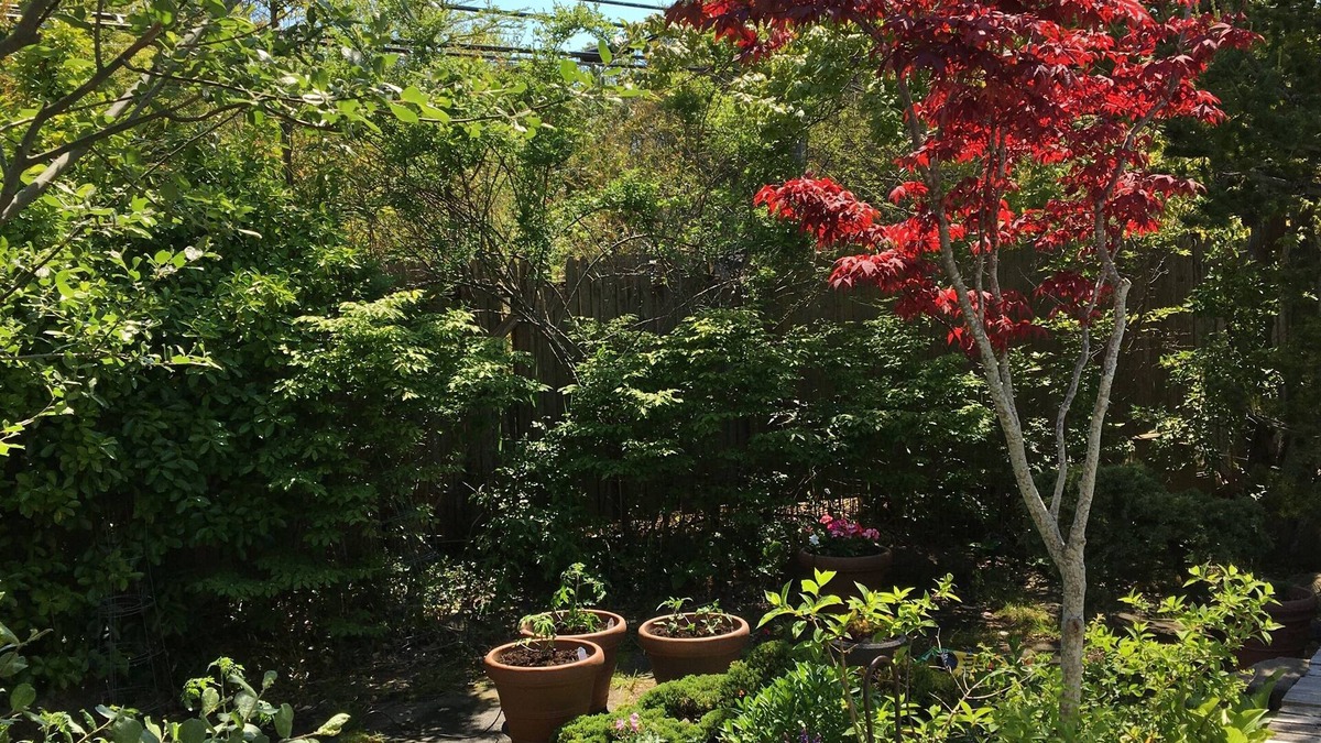 Fire Island Pines House | Stunning Fire Island Pines Oasis!