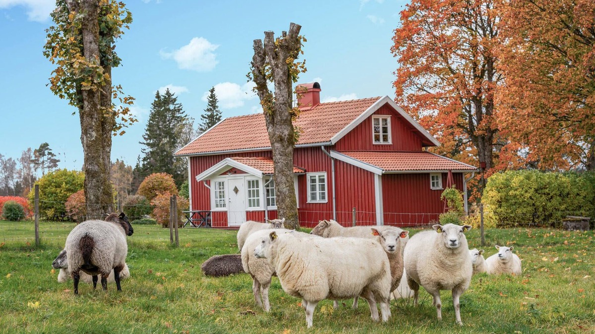 Gronahog House | Stunning home in Grönahög with WiFi