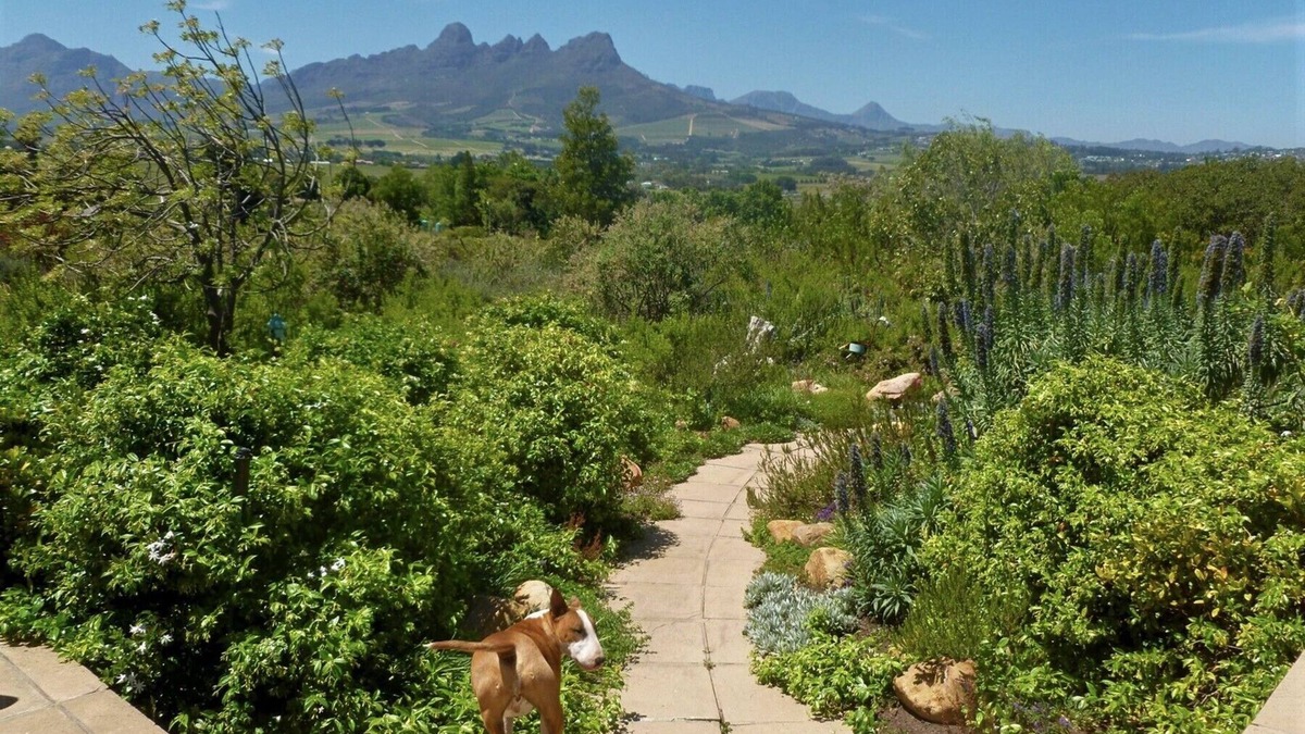 Raithby Other | Stunning Mountain and Sea views in the Cape Winelands