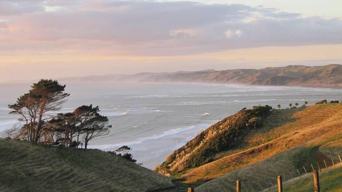 Raglan House | Stunning ocean view barn