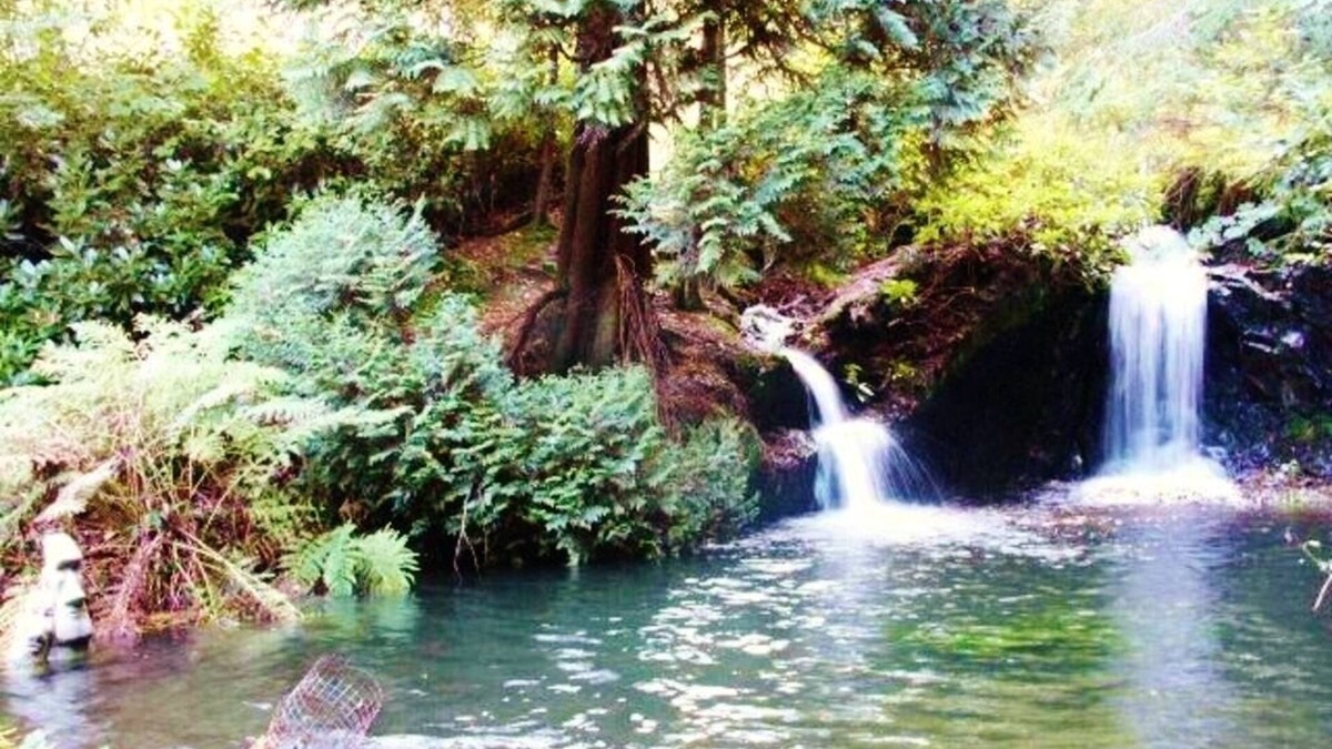 Llanidloes House | Stunning panoramic views & 2 acre woodland with 5 pools, waterfalls & 17 benches