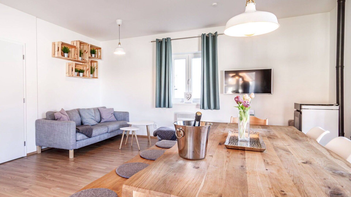 Frymburk House | Stunning private villa for 5 people with WIFI, TV, terrace and pets allowed