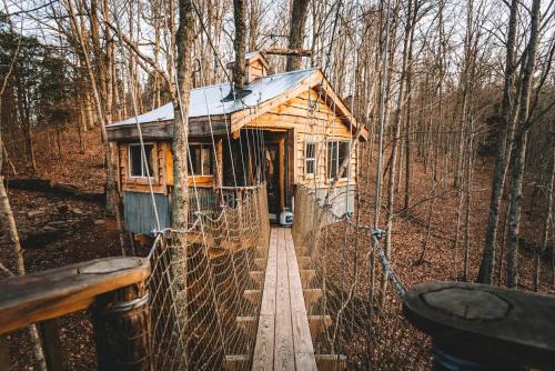 Stonewall House | Stunning Tree House Tucked Away Among the Trees near Germantown, Kentucky