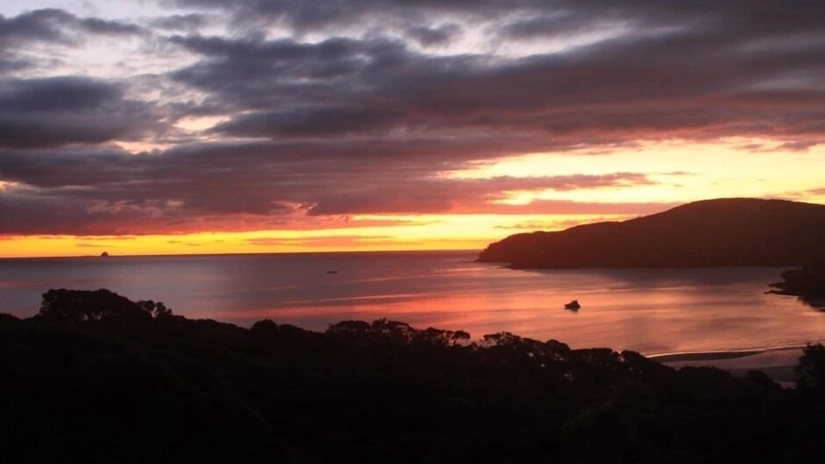 Tryphena Condo | Stunning Tryphena Harbour and Hauraki Gulf views