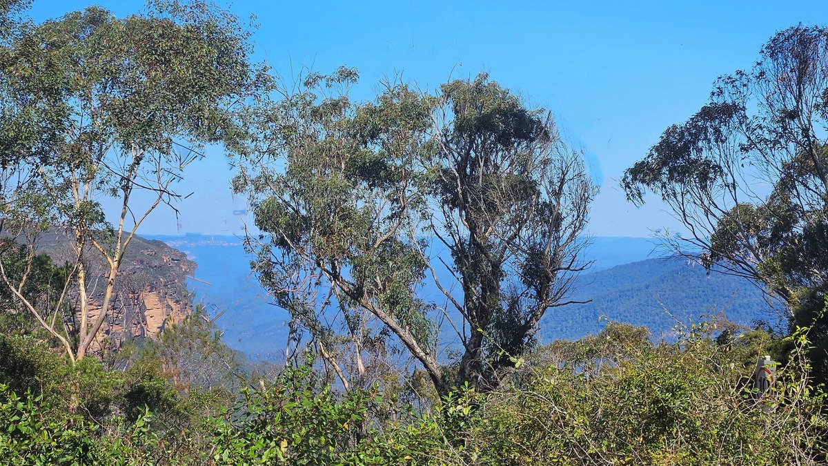 Wentworth Falls House | STUNNING VIEWS, fireplace, spa bath, 5 bedrooms, early check-in & late checkout.