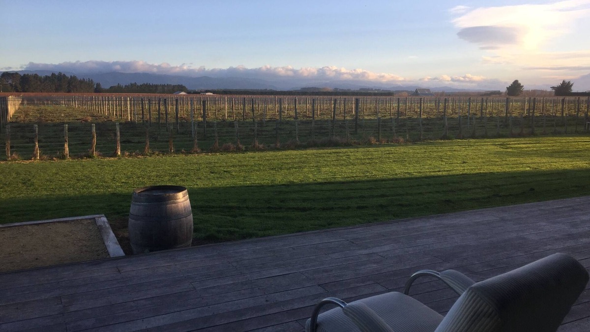 Martinborough House | Stunning views of the Tararuas and adjacent vineyard