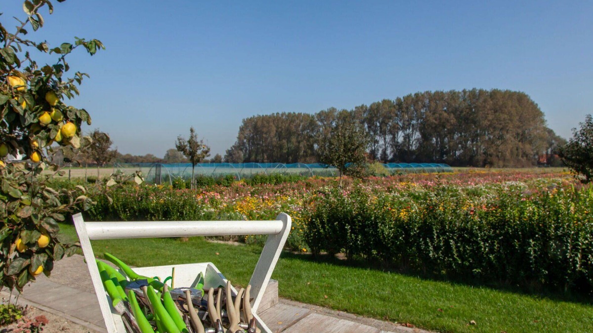 Koudekerke House | Stunning villa for 2 guests with WIFI, TV, terrace and parking