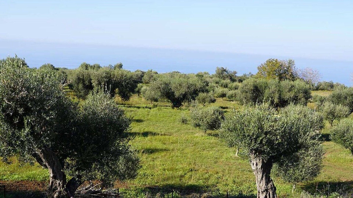 Zambrone Villa | Stunning villa for 2 guests with WIFI, TV, patio, panoramic view and parking