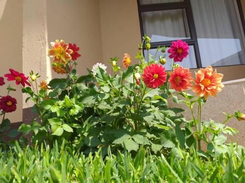 Palapye Bed & Breakfast | Styled bed and breakfast