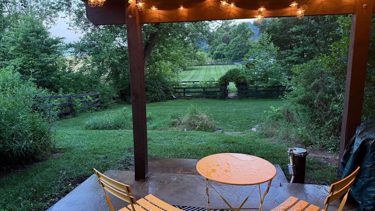 Bluemont Apartment | Stylish 1-bd/1-ba gardern apt within quaint Bluemont village, walk to wineries.