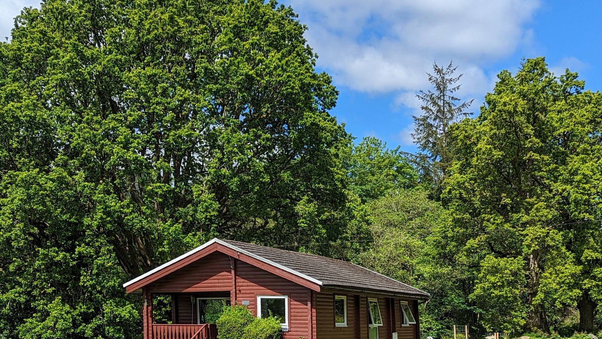 Rashfield Cabin | Stylish, Comfy & Cosy log cabin in National Park, dogs & families welcome!