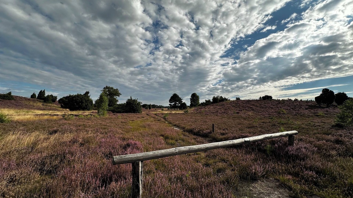 Wittingen House | Stylish country idyll in the Südheide. Pure nature!