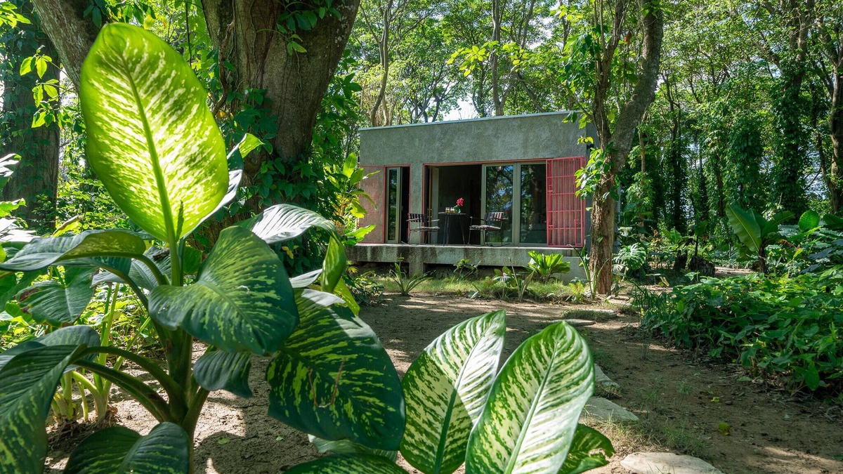 Sabaneta de Yasica Cabin | Stylish Jungle Cabin – Riverfront Retreat with Hammocks & Wi-Fi