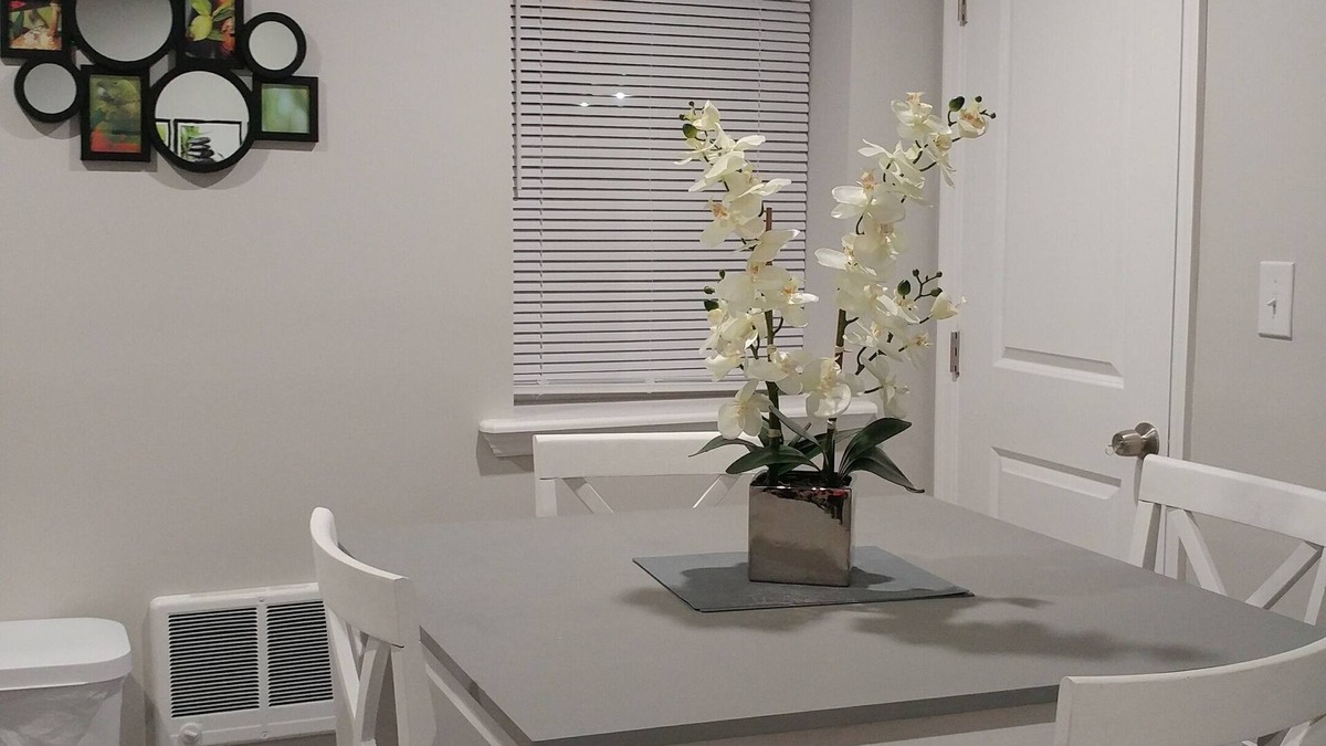 Frankford Apartment | Stylish Newly renovated * Private Aptarment* 1BR