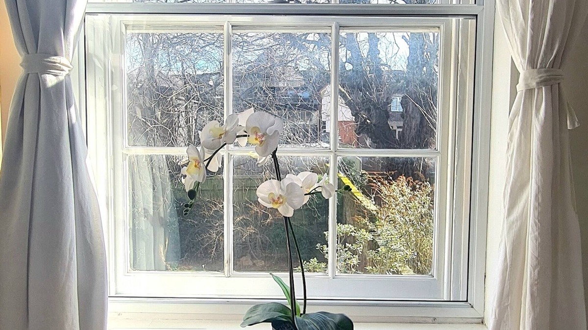 Winchester House | Stylish & spacious townhouse in Winchester's best location! Free parking x 2